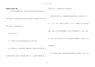 护理实习生总结十篇