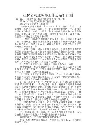 担保公司业务部工作总结和计划