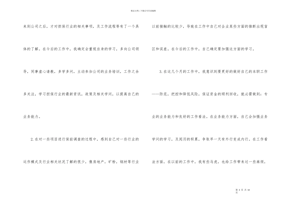 担保公司个人工作总结汇编四篇_第3页
