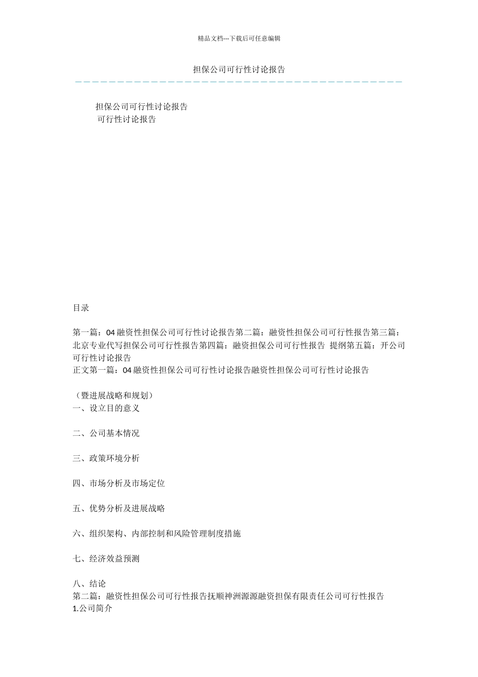 担保公司可行性研究报告_第1页