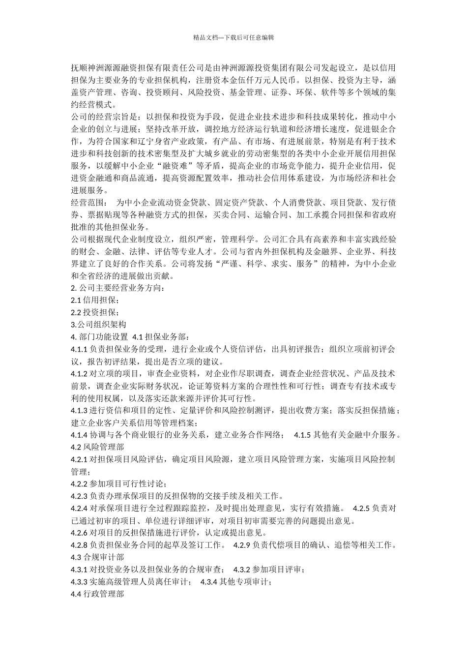 担保公司可行性研究报告_第2页