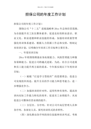 担保公司的年度工作计划