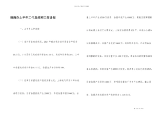 招商办上半年工作总结和工作计划