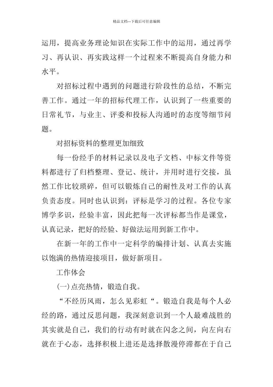 招标专员年终个人工作总结范文_第2页