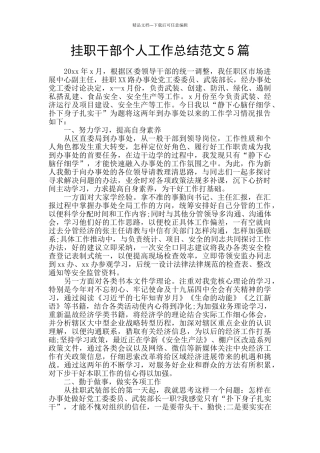 挂职干部个人工作总结范文5篇