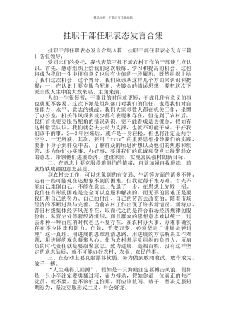 挂职干部任职表态发言合集