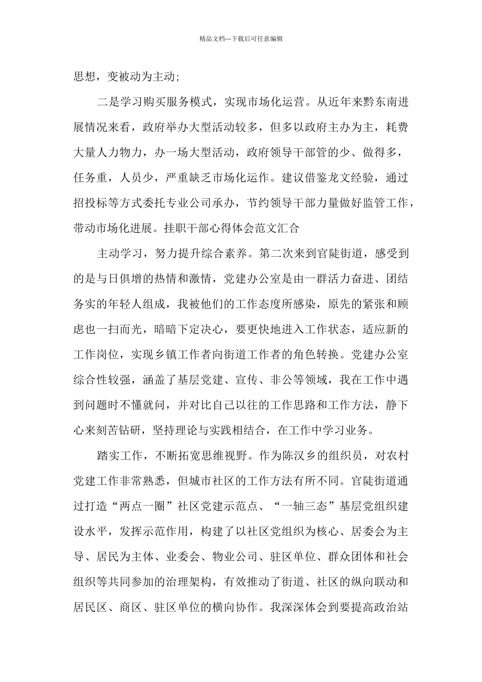 挂职干部心得体会范文汇集_第2页