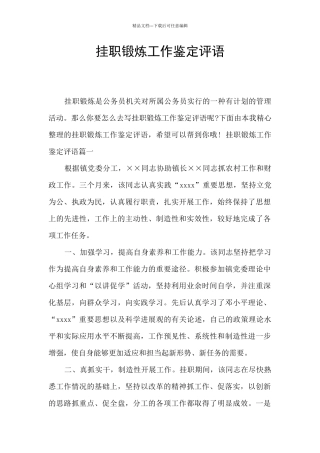 挂职锻炼工作鉴定评语