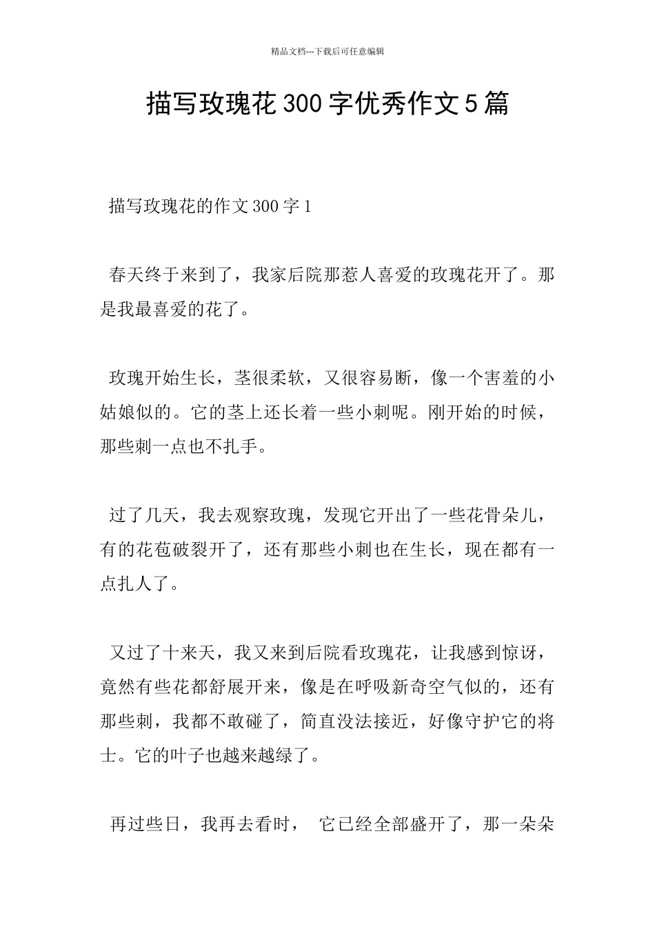 描写玫瑰花300字优秀作文5篇_第1页