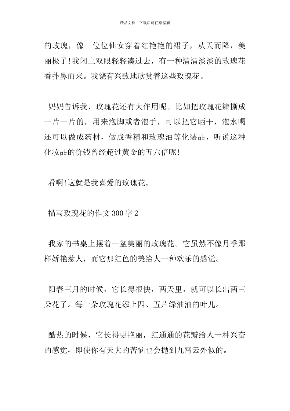 描写玫瑰花300字优秀作文5篇_第2页