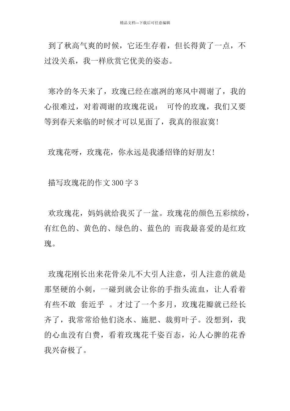 描写玫瑰花300字优秀作文5篇_第3页