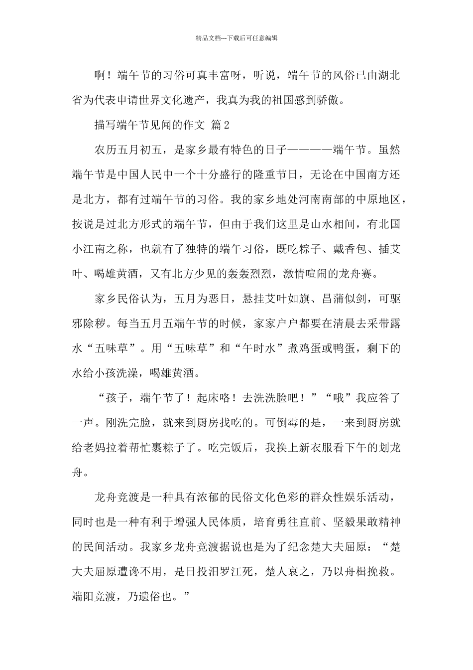 描写端午节见闻的作文精选优秀范文5篇_第2页