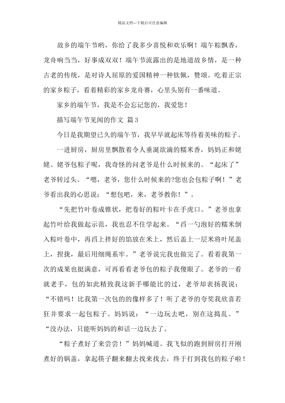 描写端午节见闻的作文精选优秀范文5篇_第3页