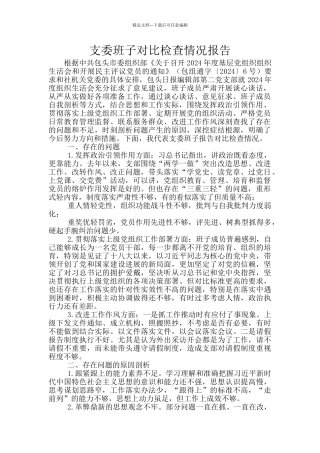 支委班子对照检查情况报告