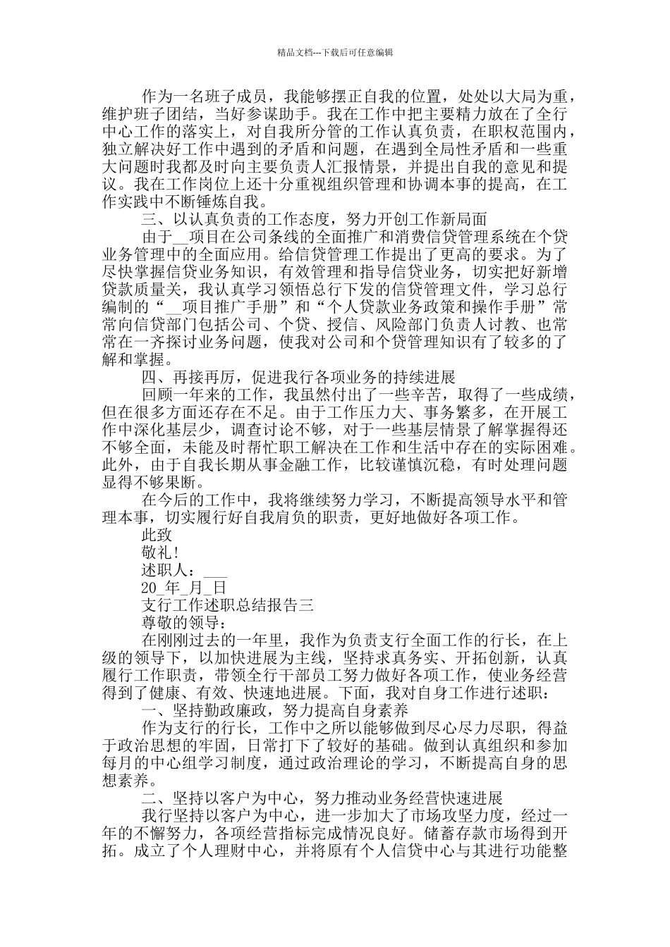 支行工作述职总结报告_第3页