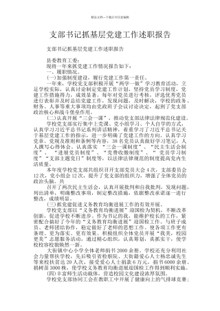 支部书记抓基层党建工作述职报告