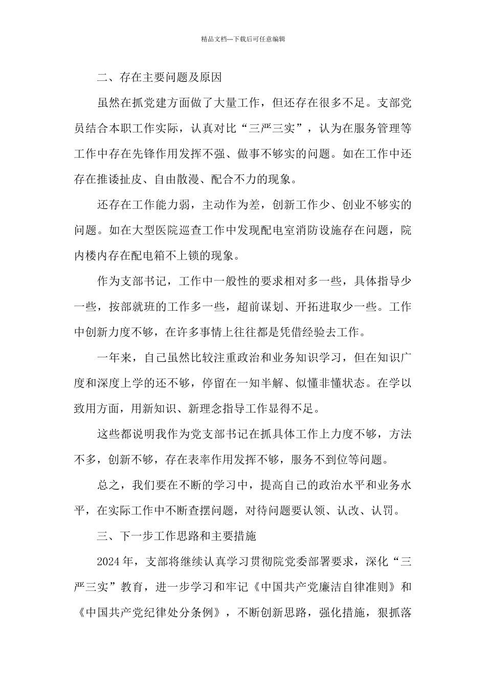 支部书记述职报告2024_第3页