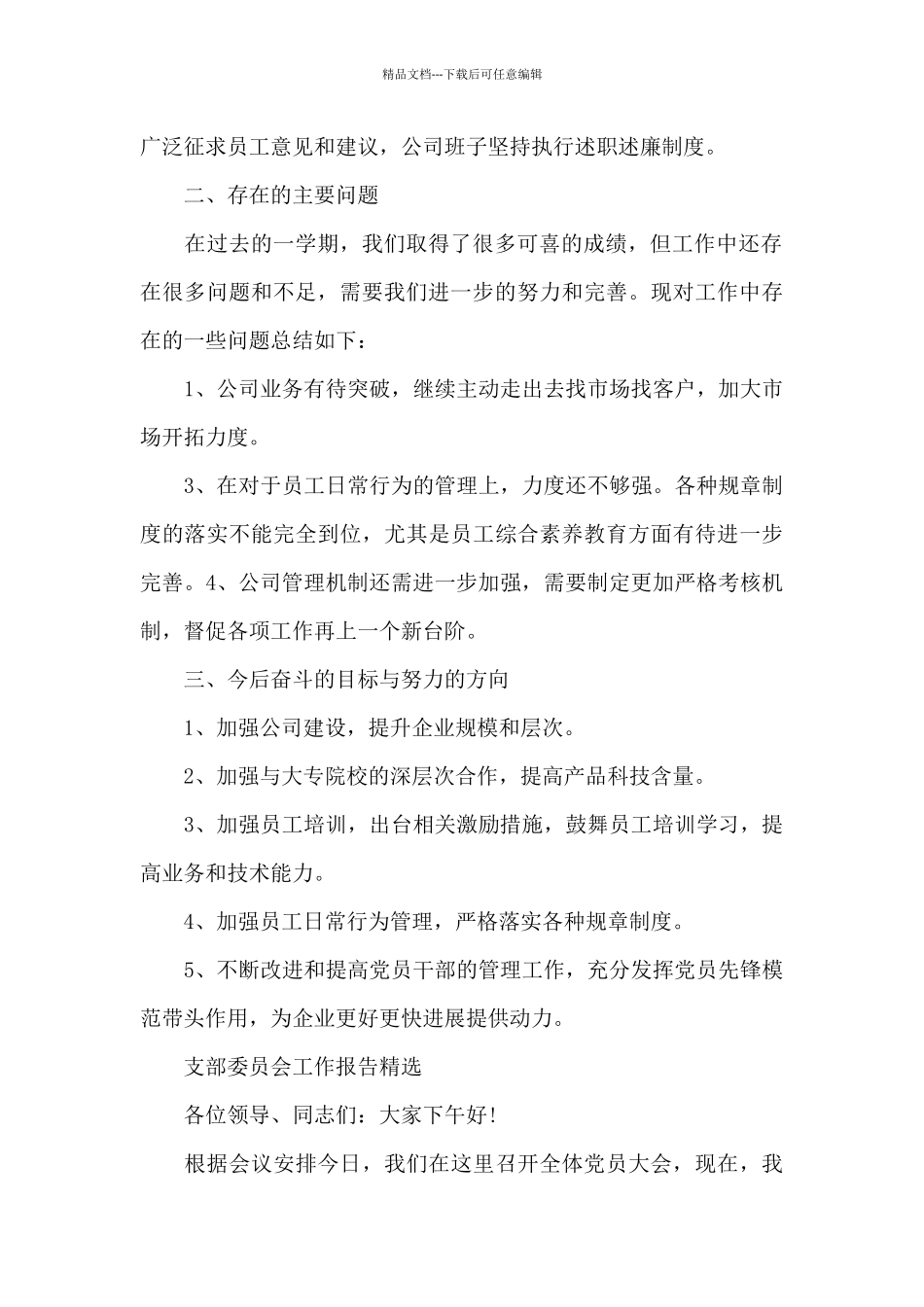 支部委员会工作报告精选_第2页