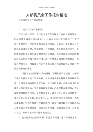 支部委员会工作报告精选