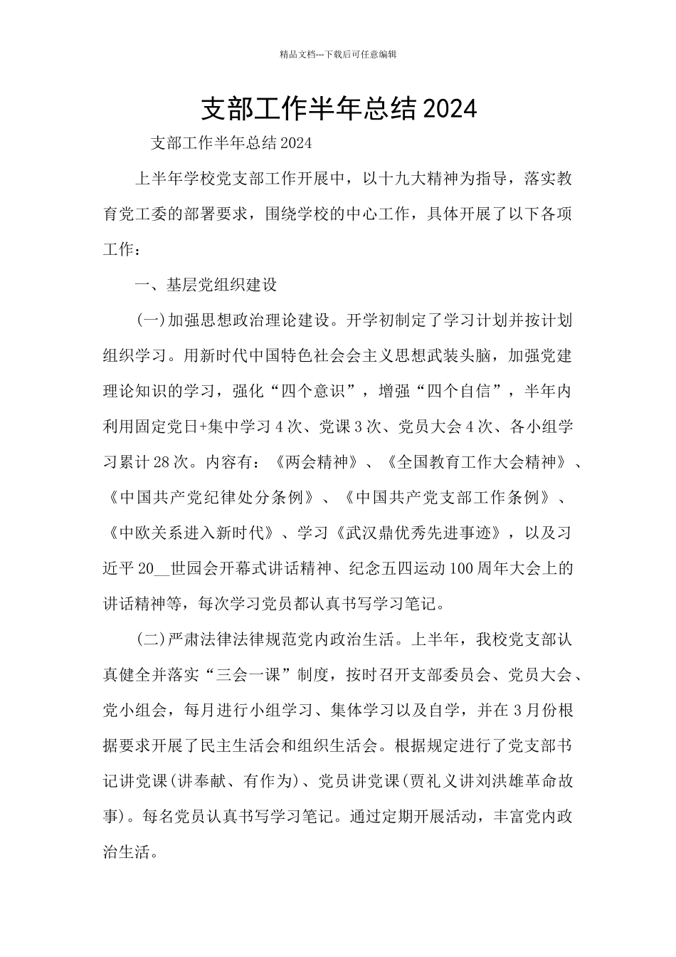 支部工作半年总结2024_第1页