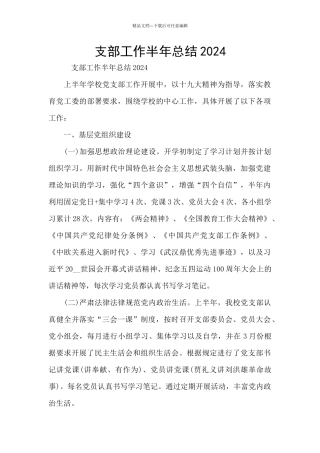 支部工作半年总结2024