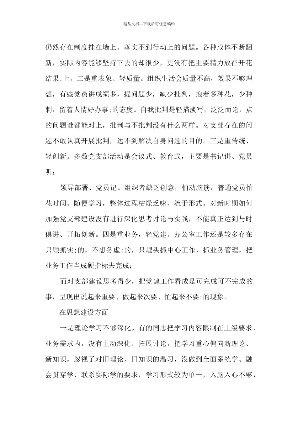 支部班子对照检查材料2024_第2页