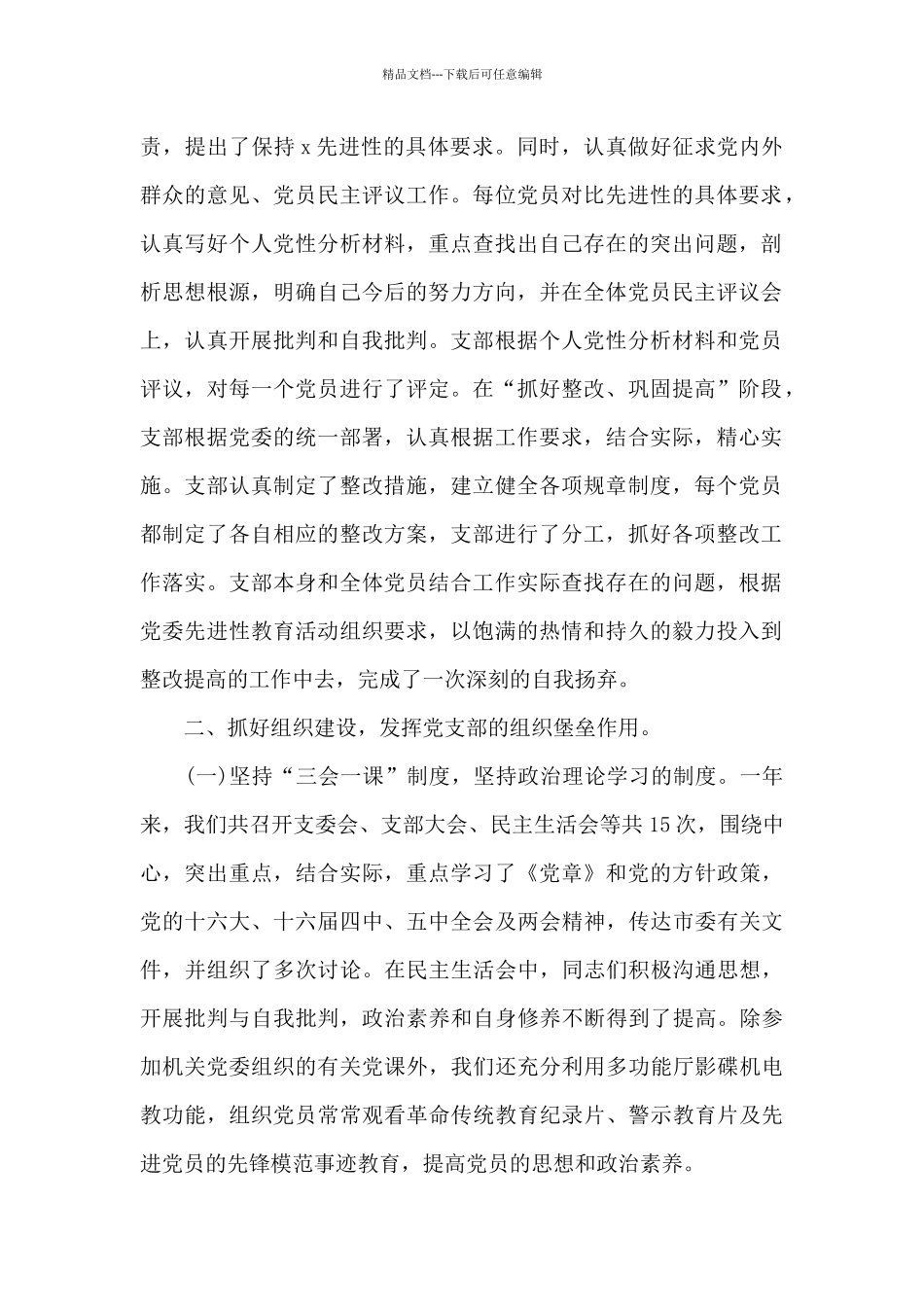 支部工作总结精选_第2页