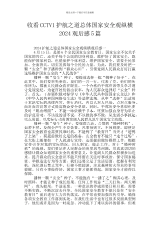 收看CCTV1护航之道总体国家安全观纵横2024观后感5篇