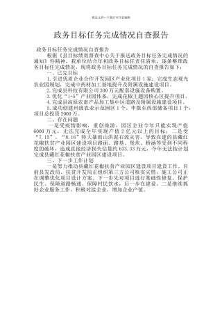 政务目标任务完成情况自查报告
