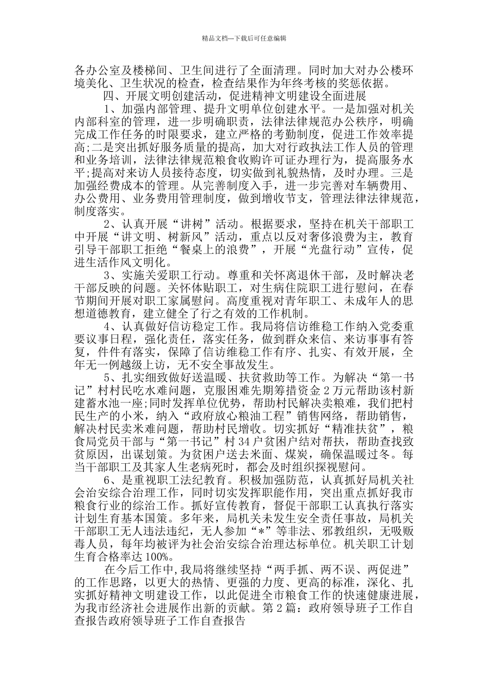 政府工作人员自查报告_第2页