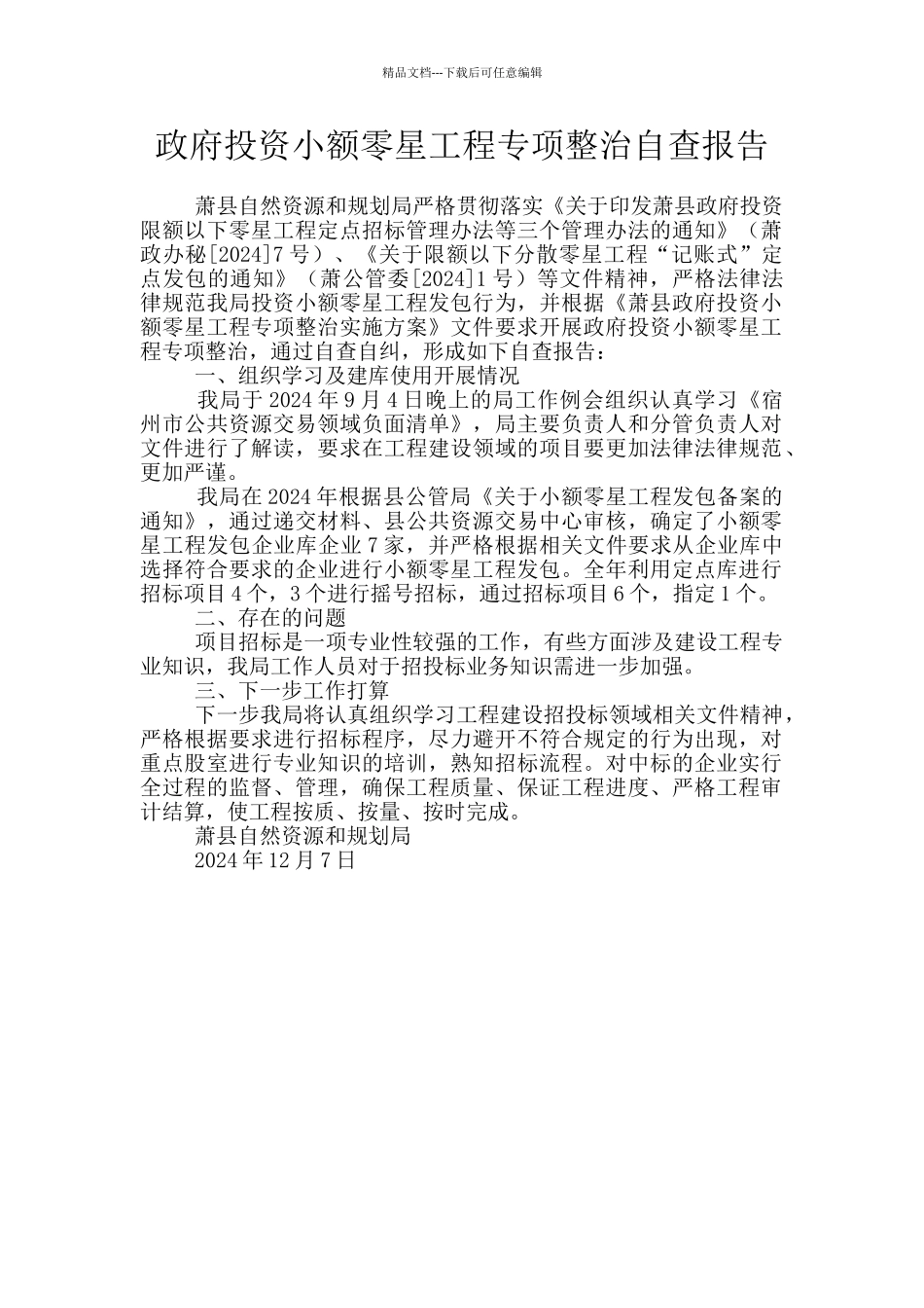 政府投资小额零星工程专项整治自查报告_第1页