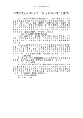 政府投资小额零星工程专项整治自查报告