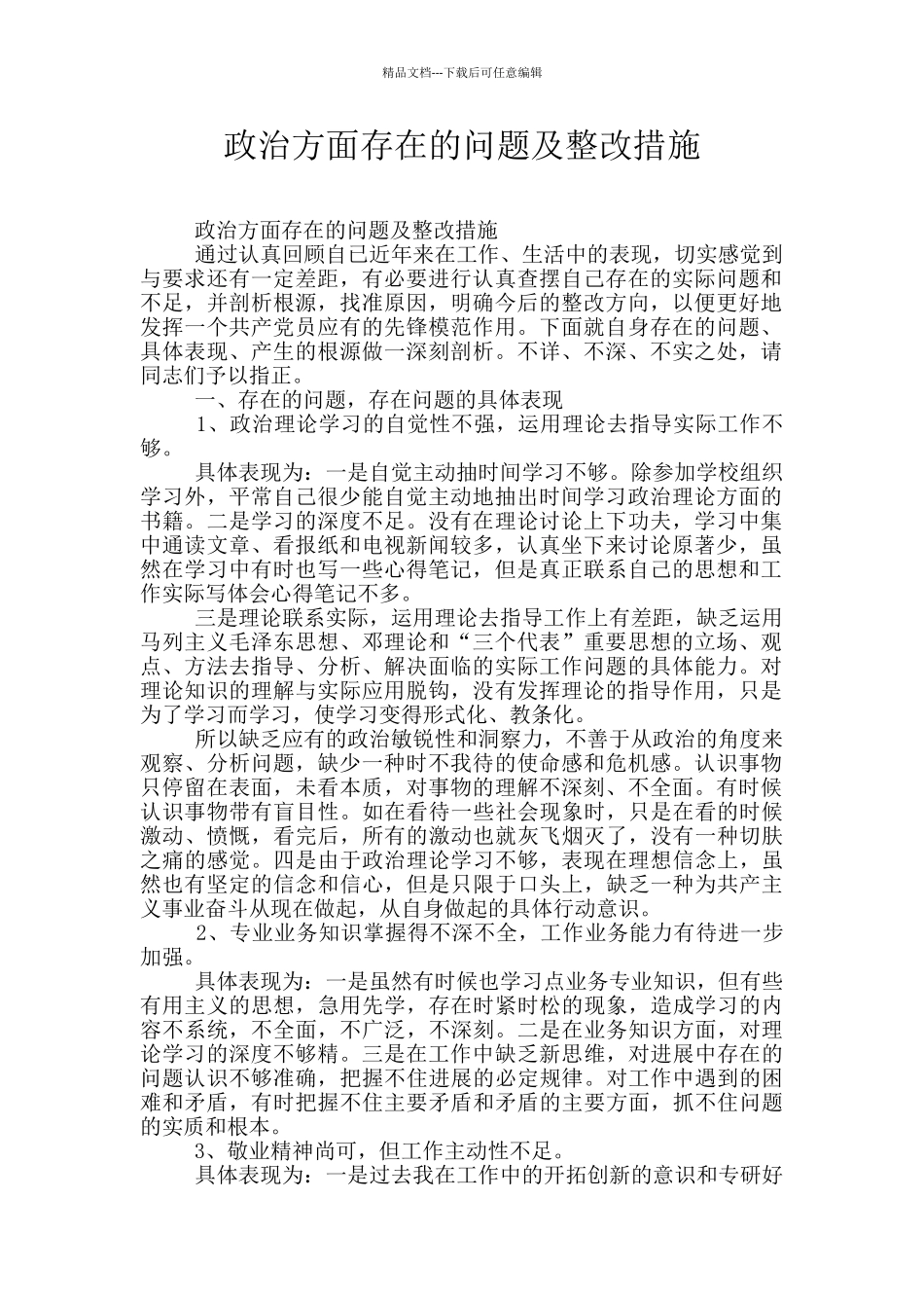 政治方面存在的问题及整改措施_第1页