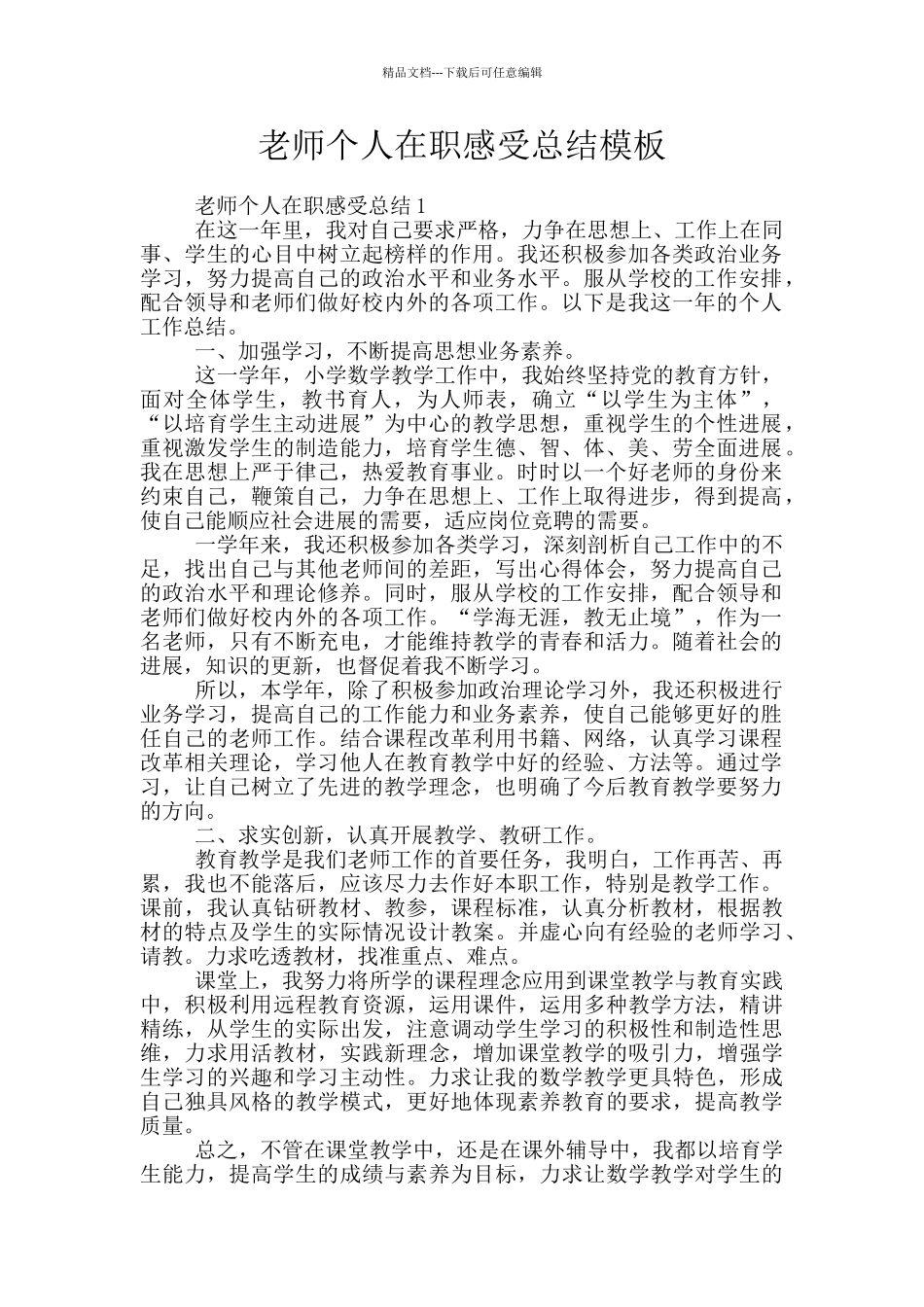 教师个人在职感受总结模板_第1页