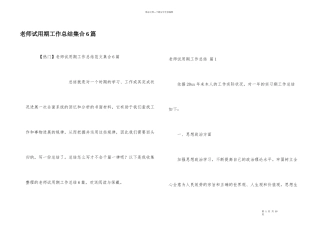 教师试用期工作总结集合6篇