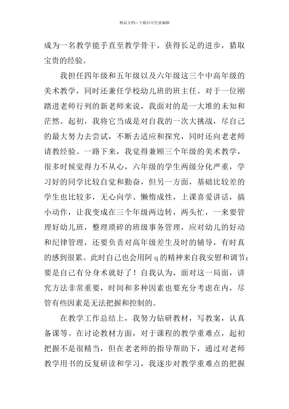 教师试用期个人工作总结范文_第2页