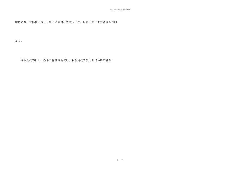 教师顶岗实习中的教学反思_第3页