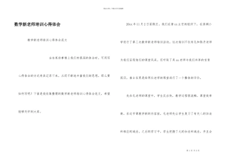 数学新教师培训心得体会