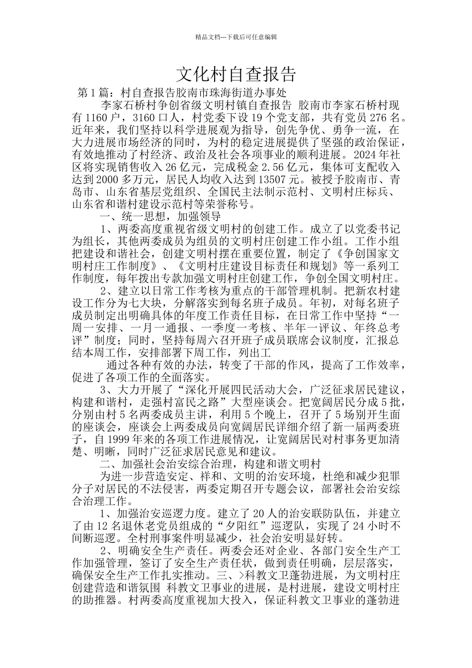 文化村自查报告_第1页