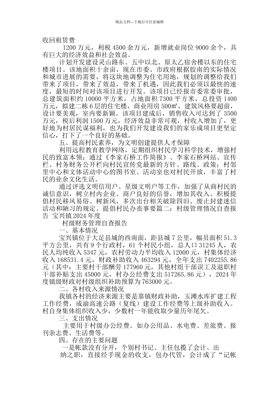 文化村自查报告_第3页