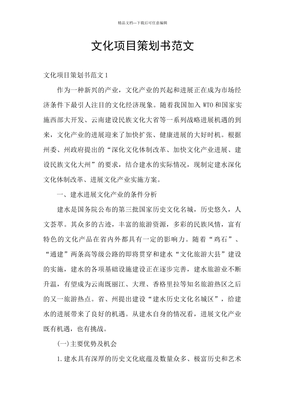 文化项目策划书范文_第1页