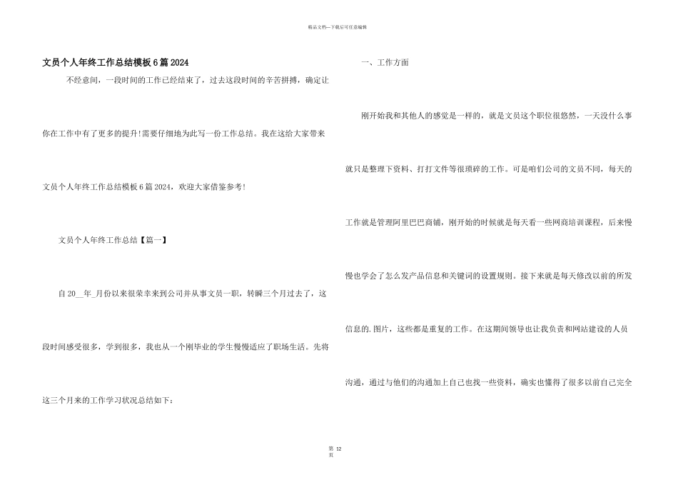 文员个人年终工作总结模板6篇2024_第1页