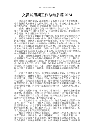 文员试用期工作总结多篇2024