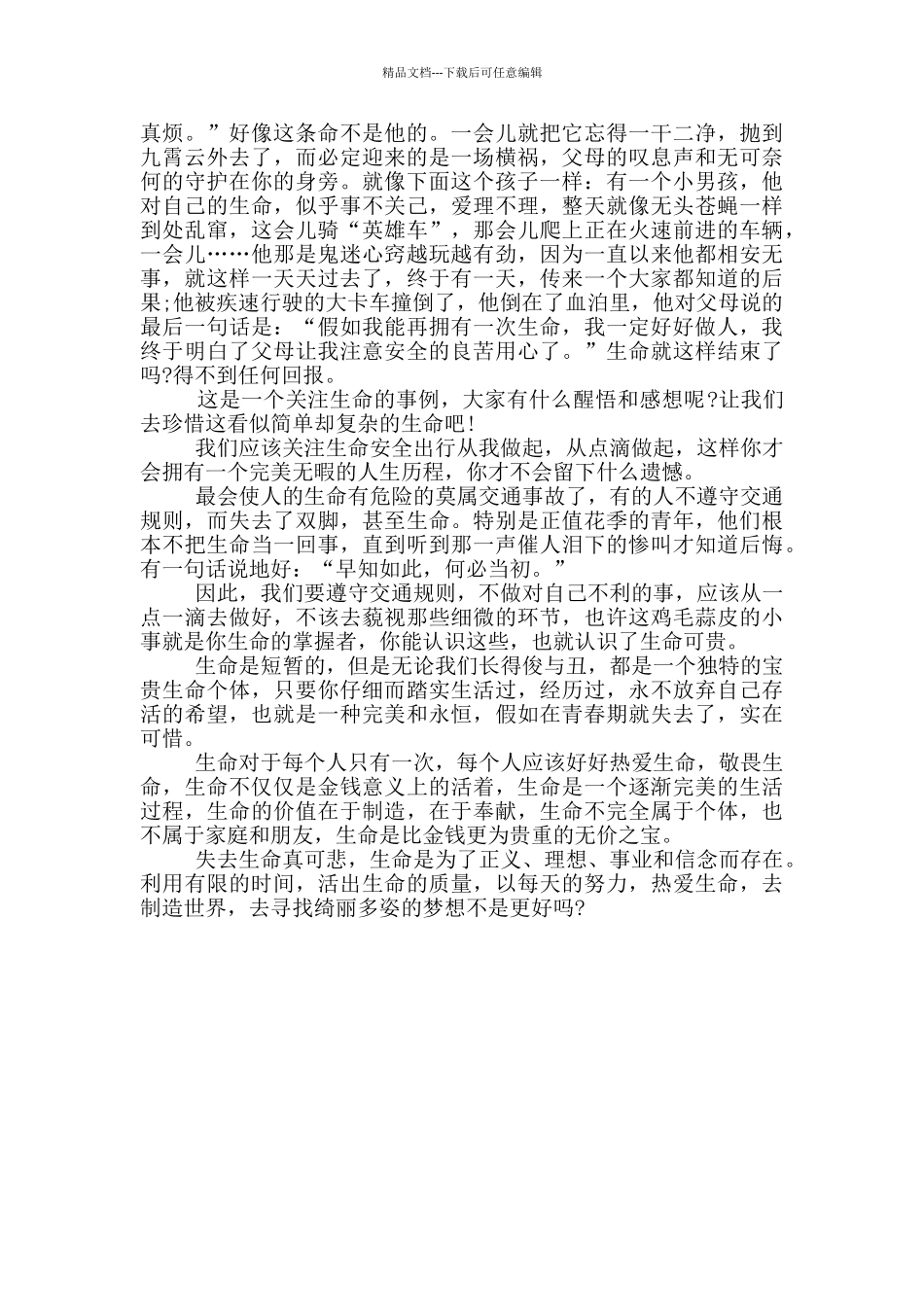 文明出行的演讲大全2024_第3页