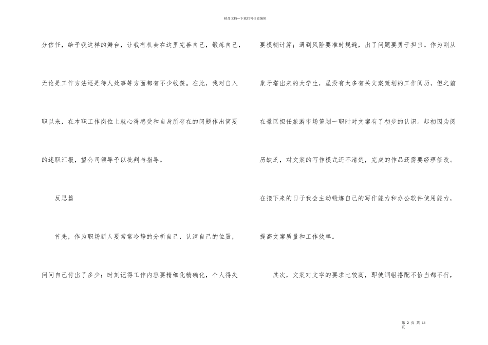 文案策划年终总结3篇_第2页