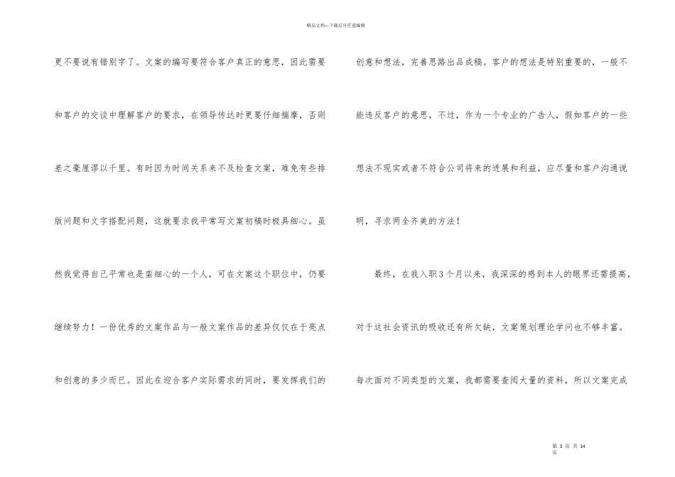 文案策划年终总结3篇_第3页