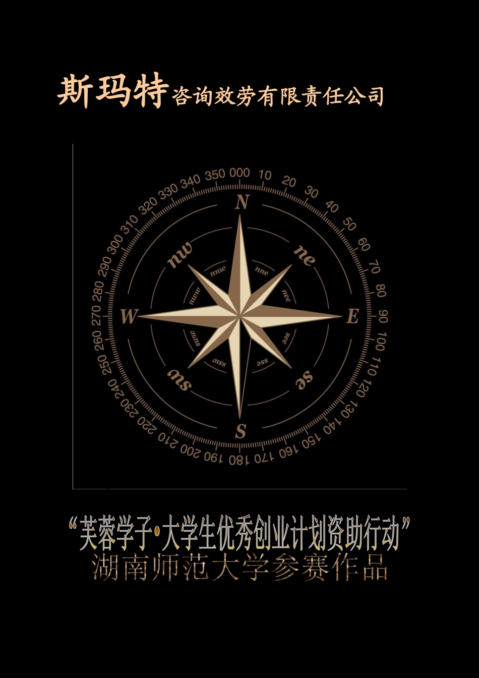 斯玛特咨询服务有限责任公司_第1页