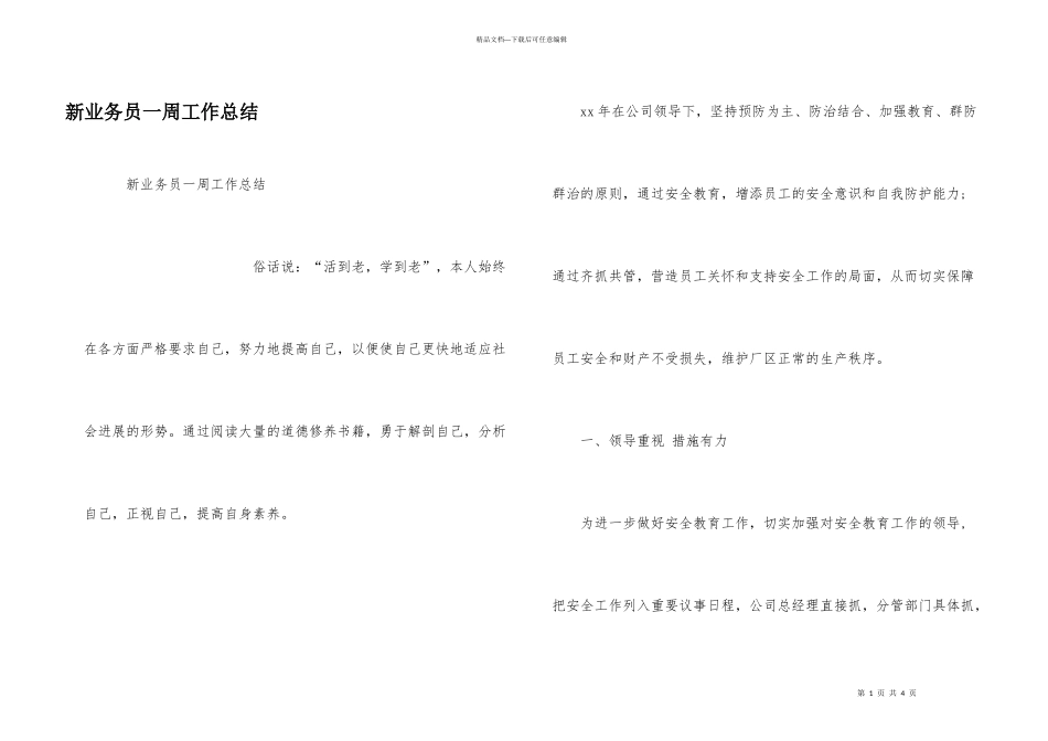 新业务员一周工作总结_第1页