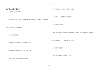 新产品上市推广策划书