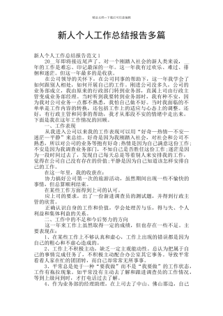 新人个人工作总结报告多篇